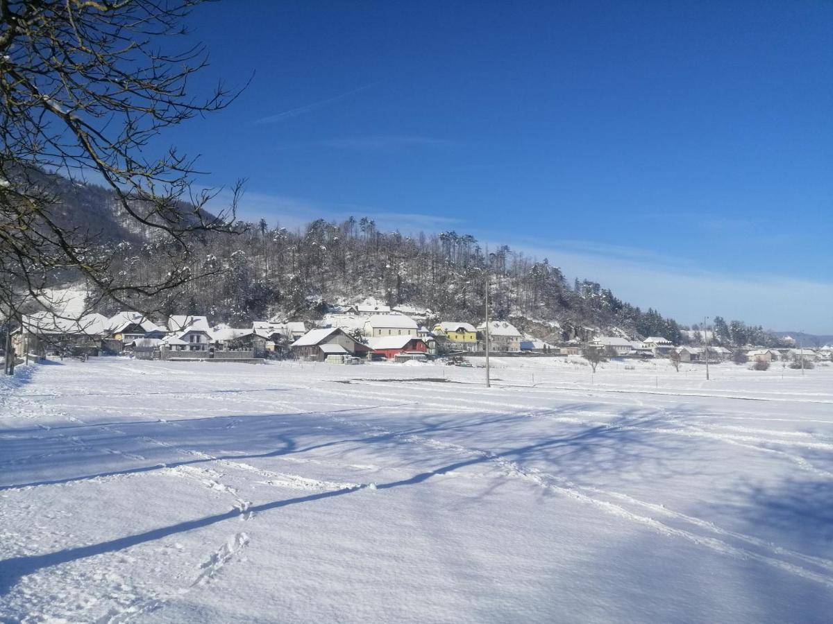 Вилла Hisa Haasberg Planina  Экстерьер фото