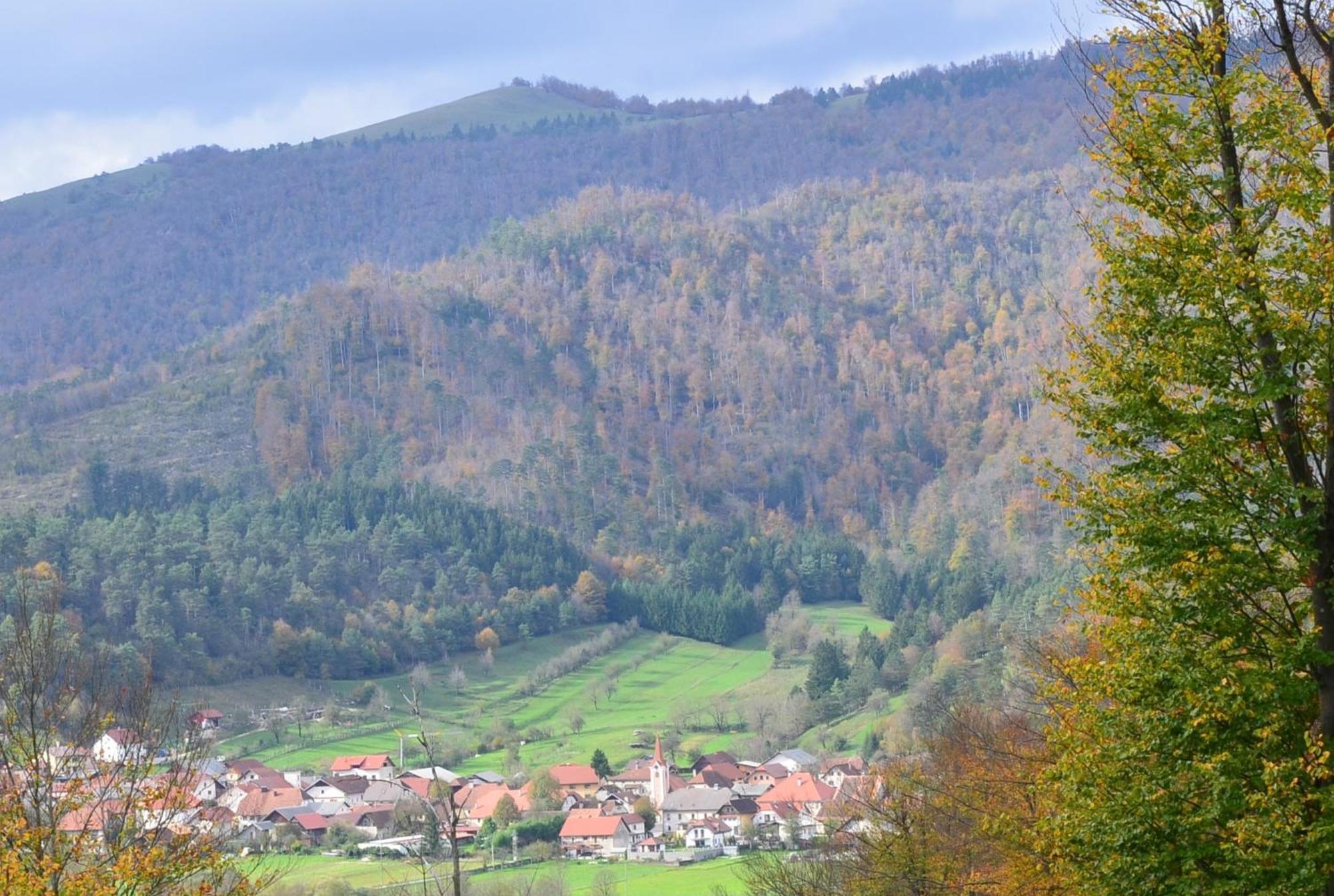 Вилла Hisa Haasberg Planina  Экстерьер фото