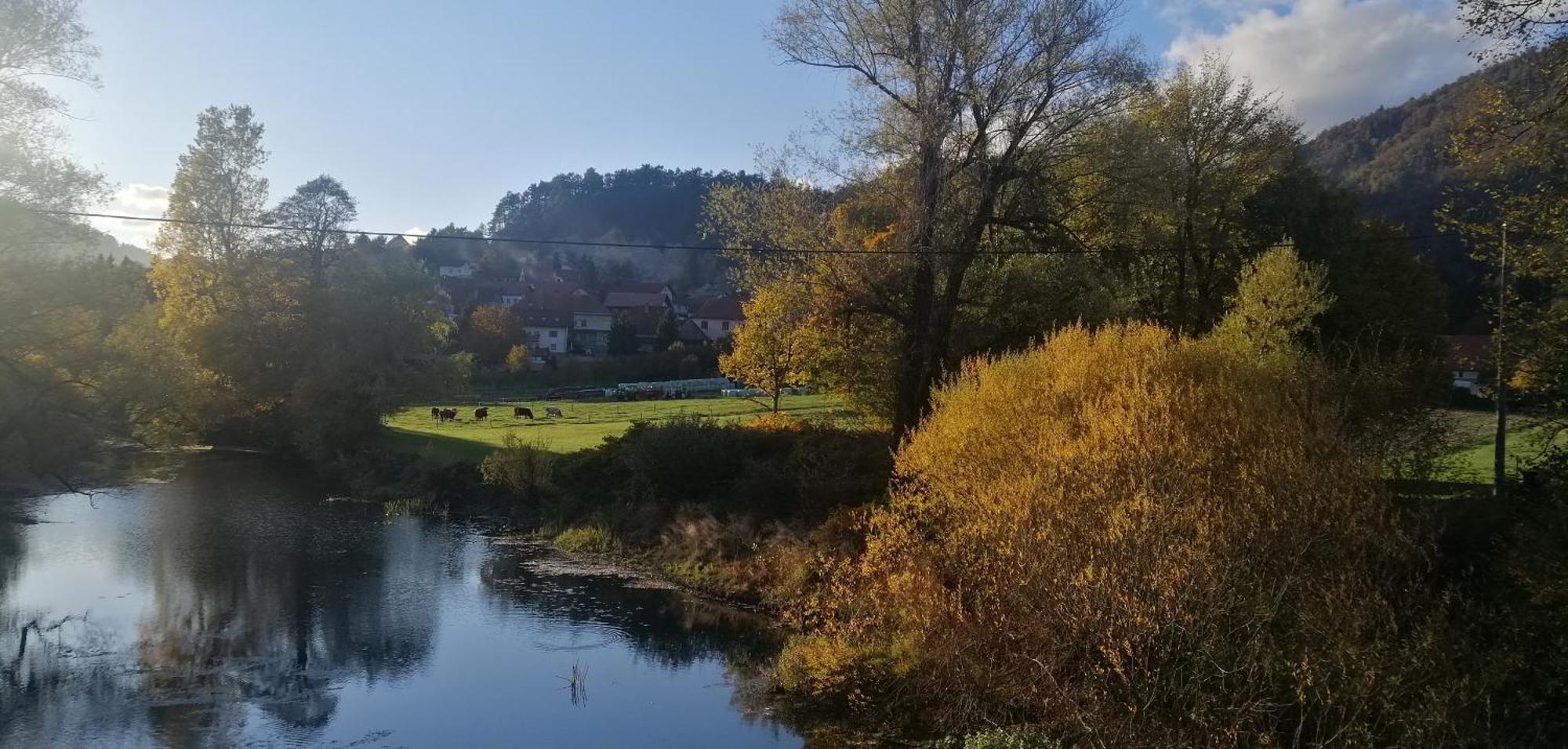 Вилла Hisa Haasberg Planina  Экстерьер фото